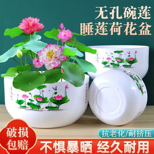 睡莲荷花盆大号树脂仿陶瓷