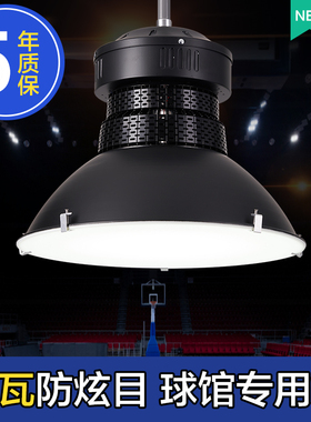 LED室内体育场馆照明灯羽毛球馆专用灯篮球场乒乓球馆吊灯画室灯