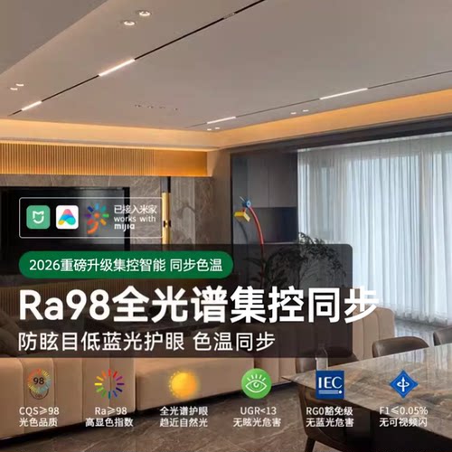 米家集控智能磁吸轨道灯无主灯