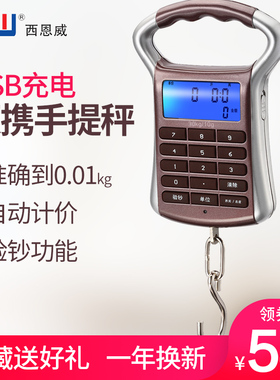 CNW手提秤高精度便携式电子称手提弹簧称计价手称充电迷你快递秤