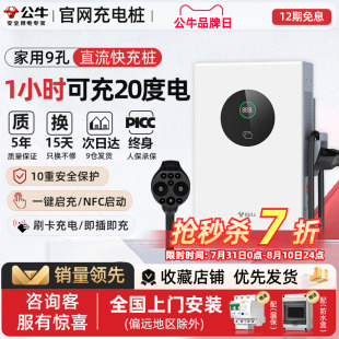 20kw 公牛新能源汽车特斯拉小米快充直流充电桩红旗蔚来货车家用7