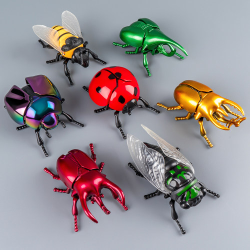 发条昆虫世界儿童爬行知了玩具