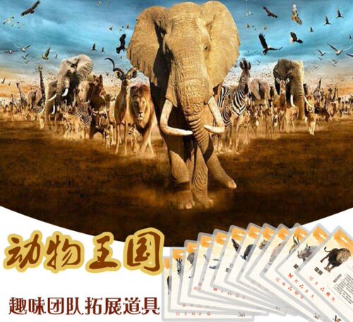 动物王国团队沟通沙盘模拟趣味运动游戏拓展道具卡片素质训练器材