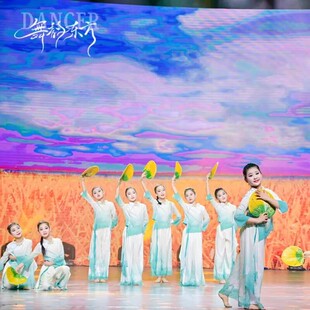 风吹稻花香两岸舞蹈儿童古典舞演出服红色记忆经典心尖尖剧目服装