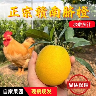 产地直发赣南脐橙江西橙子赣州寻乌甜橙新鲜孕妇水果整箱20斤包邮