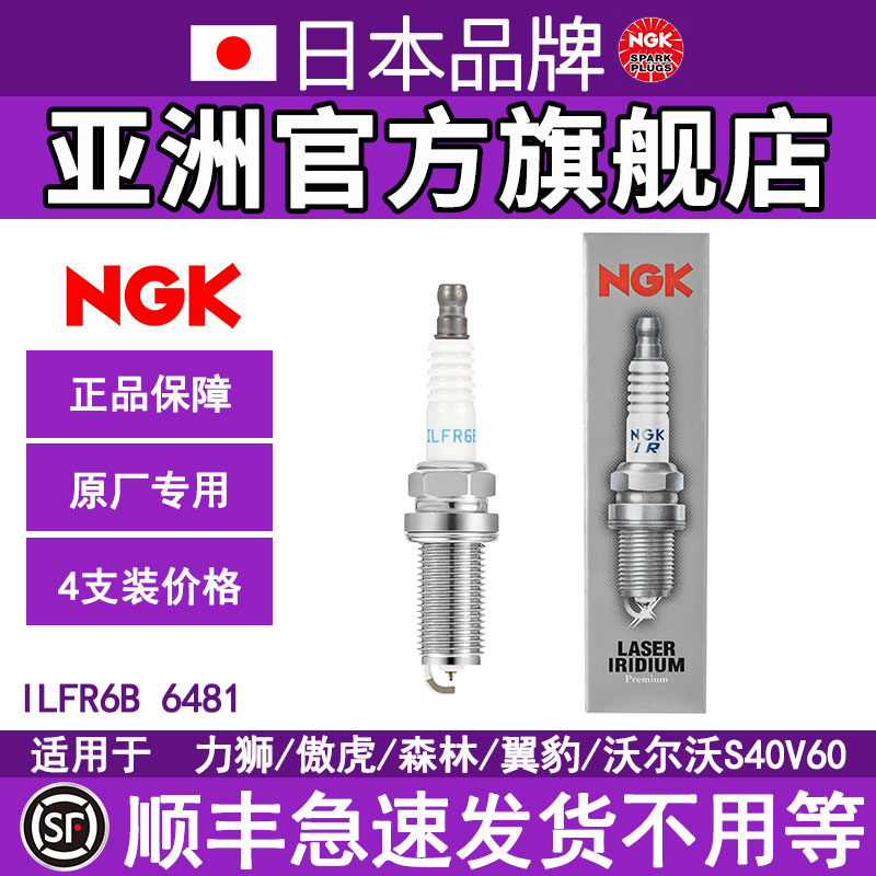 NGK铱铂金火花塞ILFR6B 6481适用力狮傲虎森林人翼豹沃尔沃S4 V60