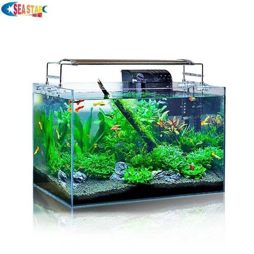 Ultra white fish tank ultra white glass aquarium mini fish