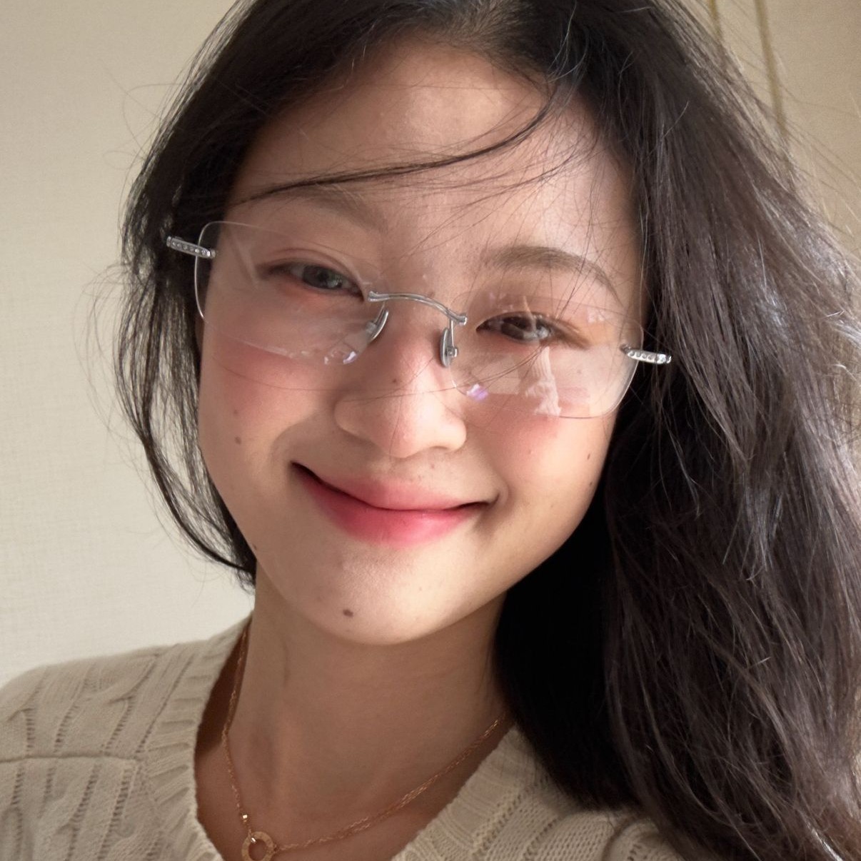 韩系高智感纯欲无框点钻眼镜女素颜显瘦金丝平光镜可配度数近视架