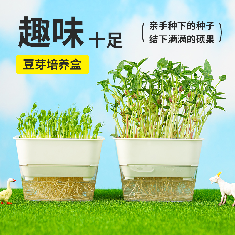 豆芽发芽盆水培蔬菜豌豆苗种植架无土栽培托猫草芽苗菜育苗盘托盘