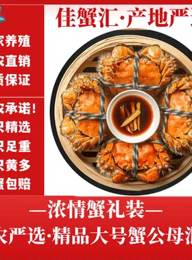 特大鲜活大闸蟹洪泽湖螃蟹直销