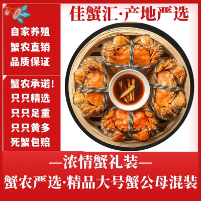 特大鲜活大闸蟹洪泽湖螃蟹直销