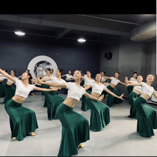 傣族舞蹈裙子女成人半身长裙渐变艺考培训练习裙民族表演服饰