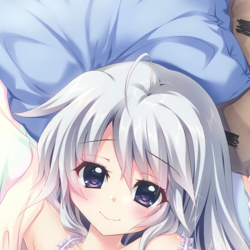 ws 343 9-nine动漫等身抱枕套动漫周边等人双面