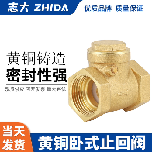 志大加厚黄铜卧式止回阀