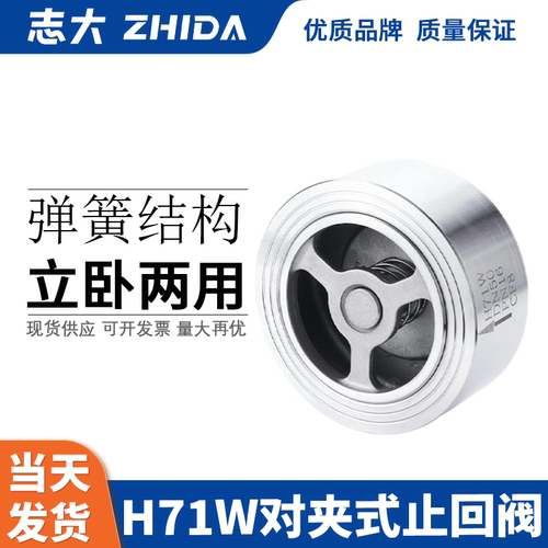 对夹式光面止回阀重型升降单向阀