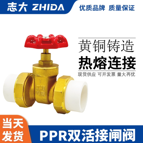 志大双活接闸阀ppr接口铜体