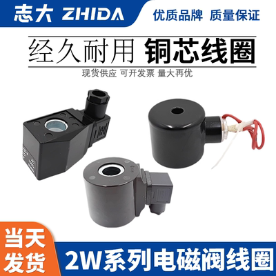 ZHIDA全铜电磁阀线圈电机
