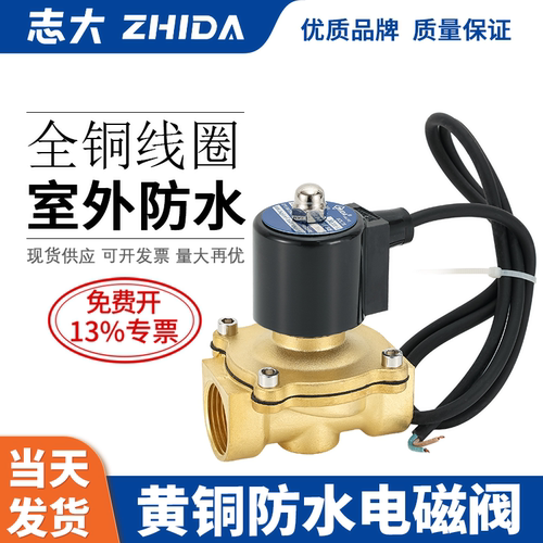 ZHIDA黄铜防水电磁阀全铜线圈