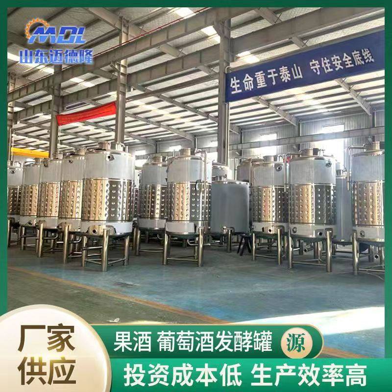 定制果酒生产线果酒加工设备销多规格304不锈钢果酒葡萄