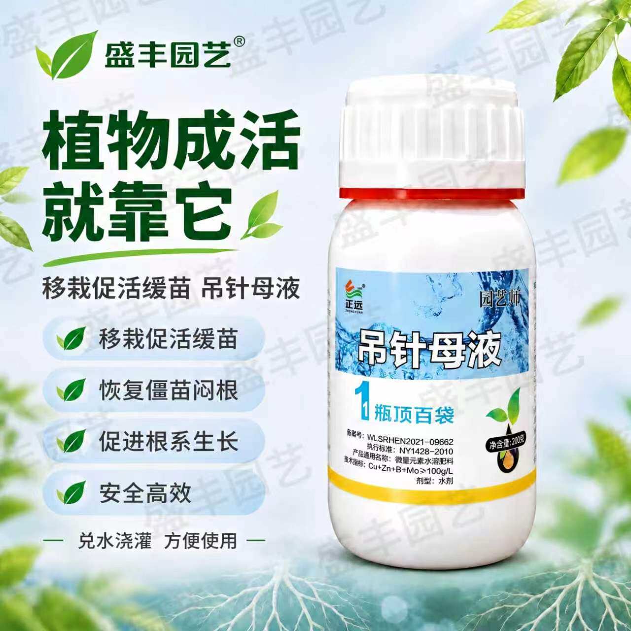 移栽缓苗定根水吊针母液僵苗闷根