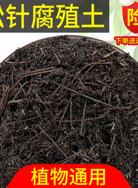 松针腐殖土有机腐叶土种植土园艺土养花种菜专用酸性通用型营养土