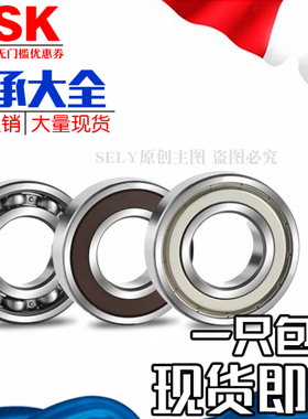正品进口NSK轴承6400 6401 6402 6403 6404 6405 6406 6407ZZ DDU