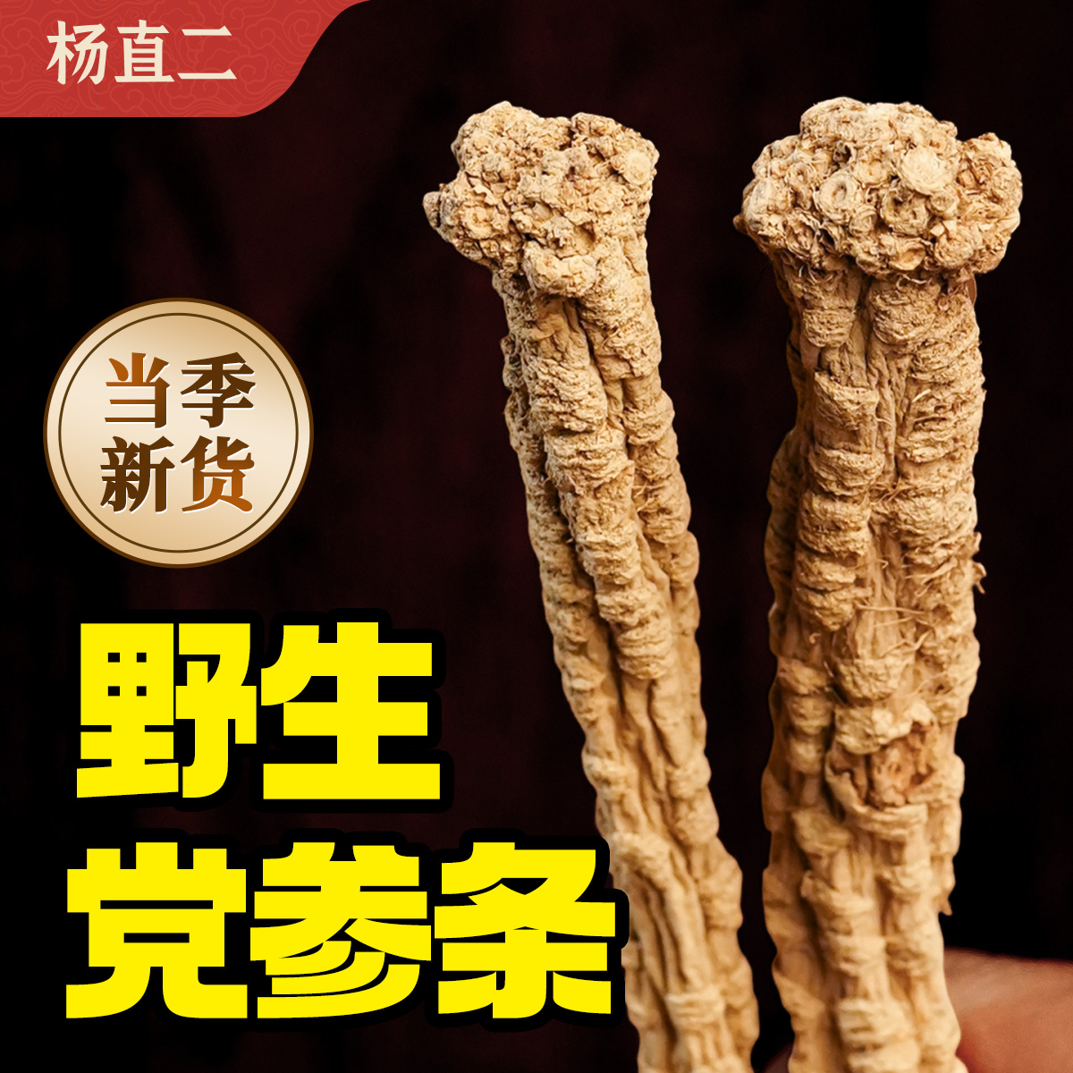 杨直二野生党参条正品中药材特级无硫大条甘肃天然滋补煲汤可试吃