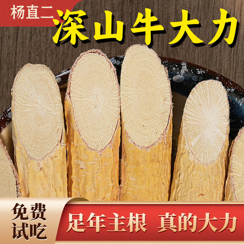 杨直二牛大力正宗深山新鲜
