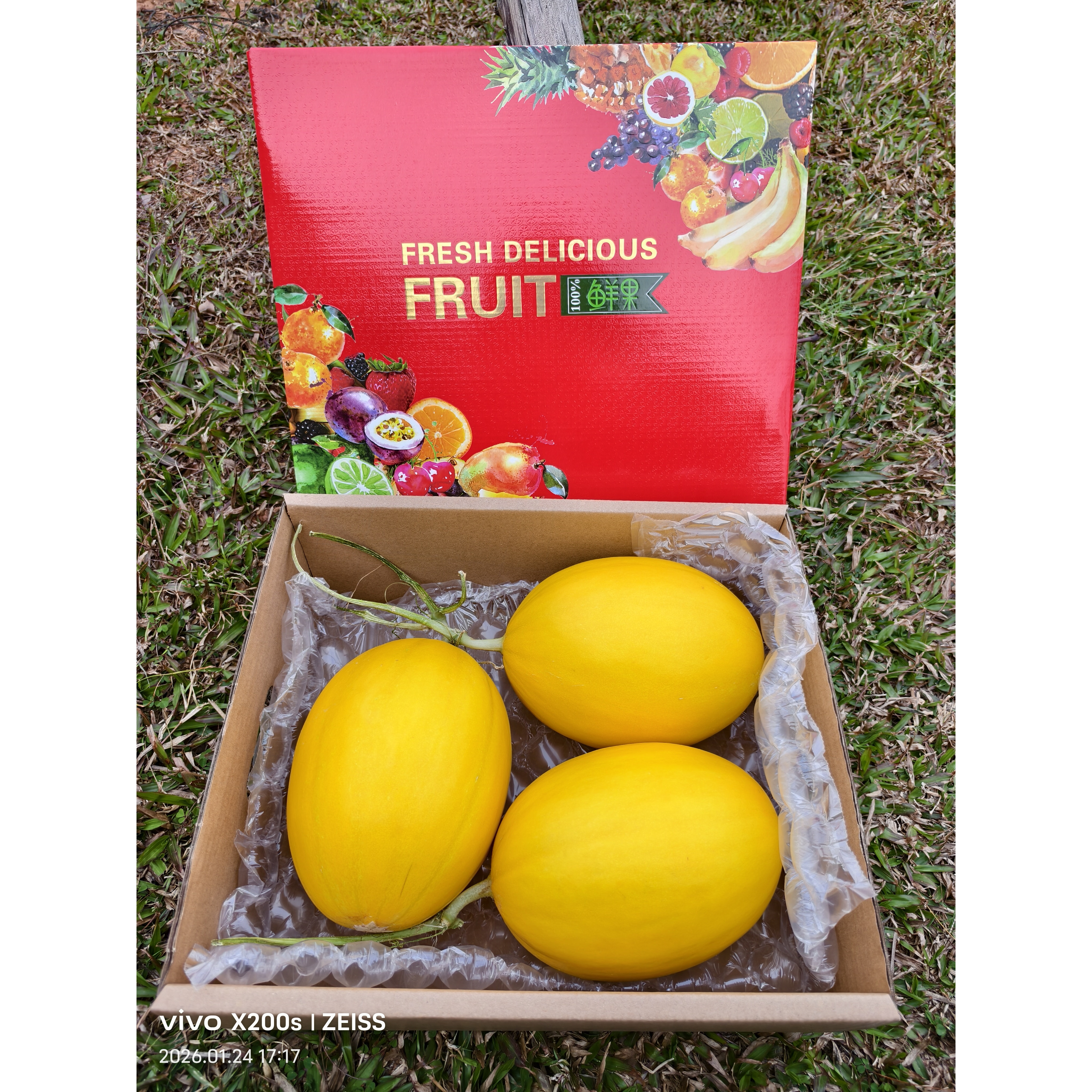 海南金妃蜜黄皮白肉冰糖蜜瓜美人瓜王品蜜瓜精品大瓜礼盒装