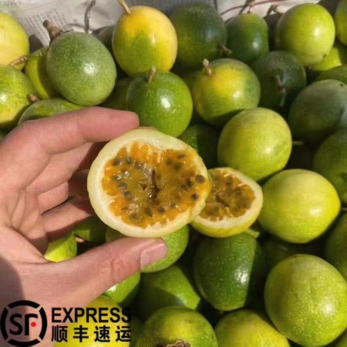 黄金百香果黄金百香果钦蜜9号