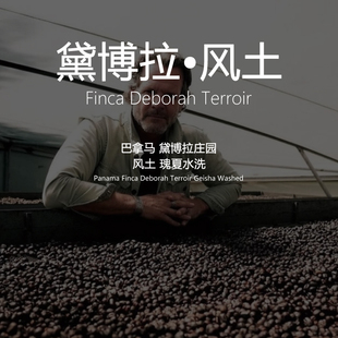 【果卡】巴拿马 黛博拉庄园 Terroir风土瑰夏水洗 手冲咖啡豆