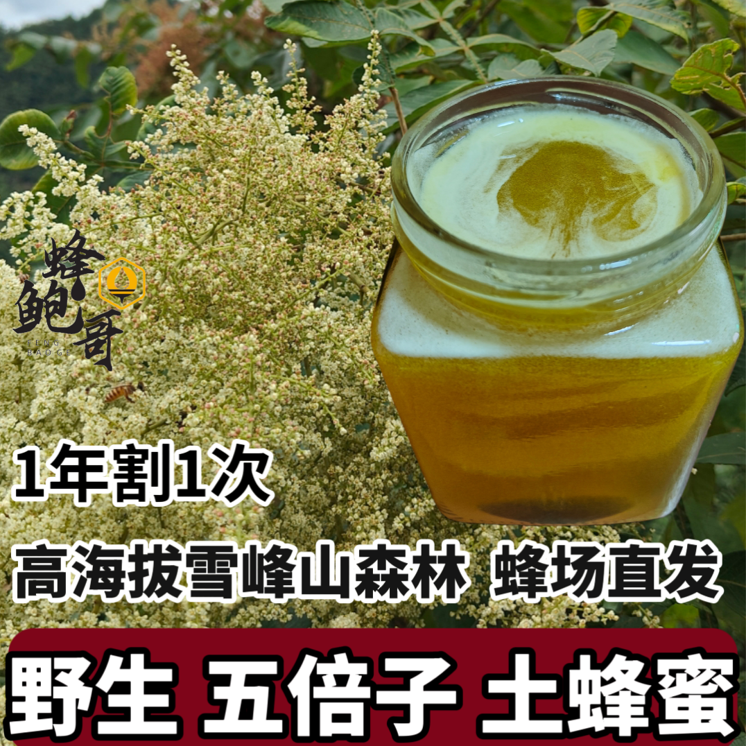 假一赔十）雪峰山纯正野生药花蜜五倍子土蜂蜜天然高活性珍稀蜜种
