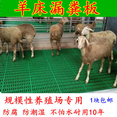 养羊漏粪板诚信漏粪板羊