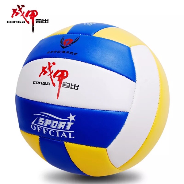 Ballon de volley - Ref 2013606 Image 4