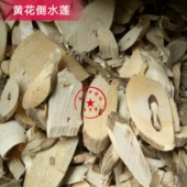 观音串 黄花吊水莲 黄花参500克 中药材黄花倒水莲 黄花倒水莲