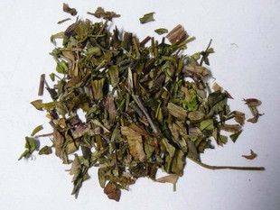 中药材青鱼胆草、蔓龙胆、鱼胆草、对叶林、抽筋草喷七、鱼鳅藤
