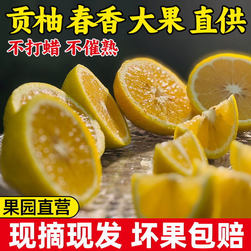 正宗黄金贡柚清甜爽口无籽柑橘象山青橙子时令柚子整箱当季水果,水产肉类/新鲜蔬果/熟食,柚子,淘宝优惠券,粉丝福利购,淘宝优惠卷
