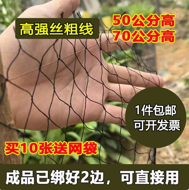 70公分防蛇尼龙网单层辣条专用鱼网/虾笼/其它渔具