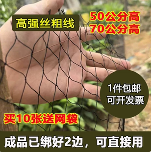70公分防蛇尼龙网单层辣条专用黑色渔网高强丝柔软高强泥鳅捕黄鳝