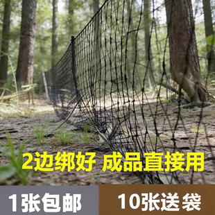 新型蛇专用网辣条专用网尼龙防蛇网加粗加长防长虫网