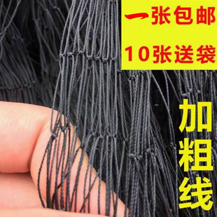 专用防蛇尼龙网报警器长虫养殖防护尼龙单层网防护网粗线
