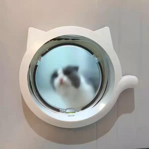 猫狗通用带锁宠物门玻璃木门