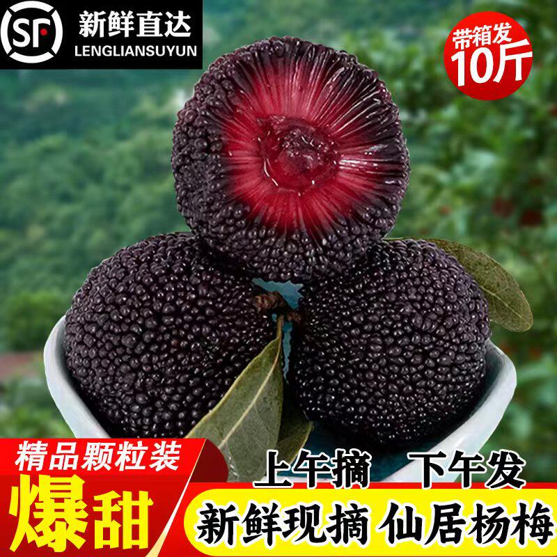 正宗浙江仙居杨梅鲜果东魁荸荠当季孕妇新鲜水果现摘现发10斤整箱