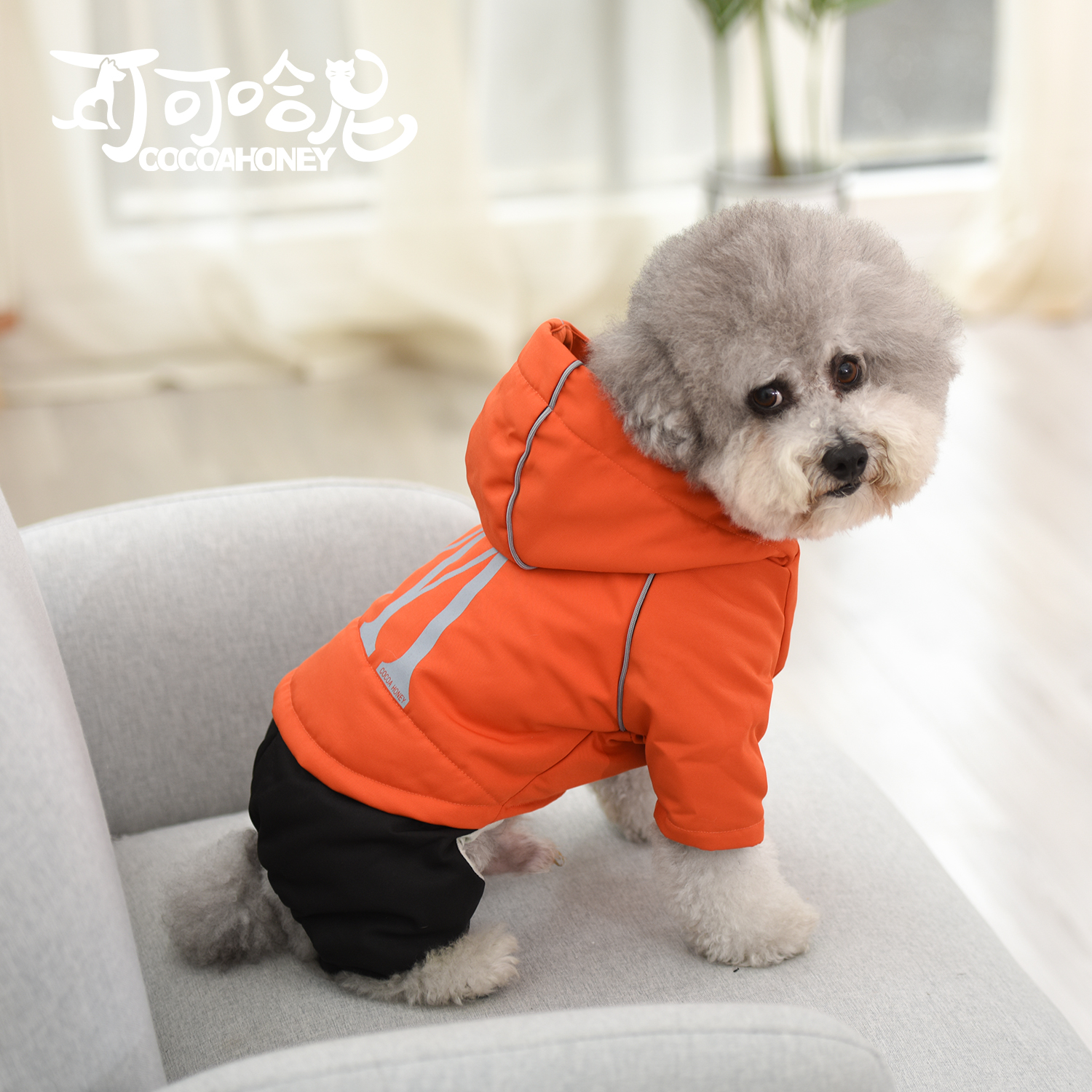 可可哈尼宠物衣服狗狗贵宾博美