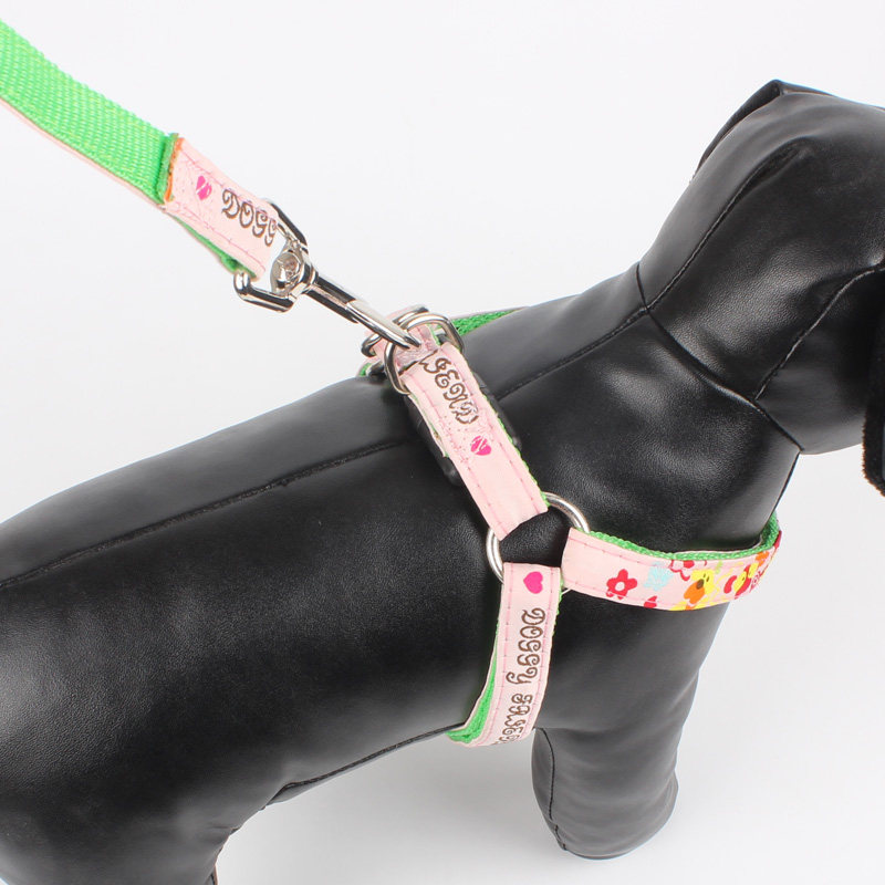 意潇泰迪狗链 胸背带套装 狗绳 牵引绳 狗链子 小型犬 中型犬