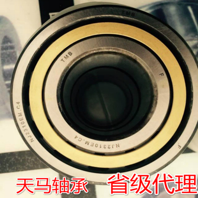 N NU NJ NUP RN 316 317 318 319 M EM 天马轴承 TMB 圆柱滚子