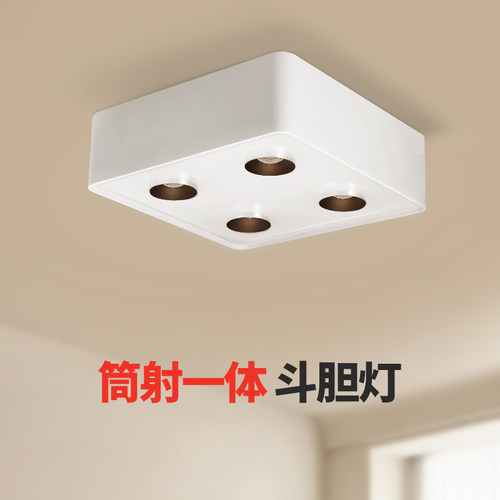 万鑫筒射灯一体全光谱明装斗胆灯