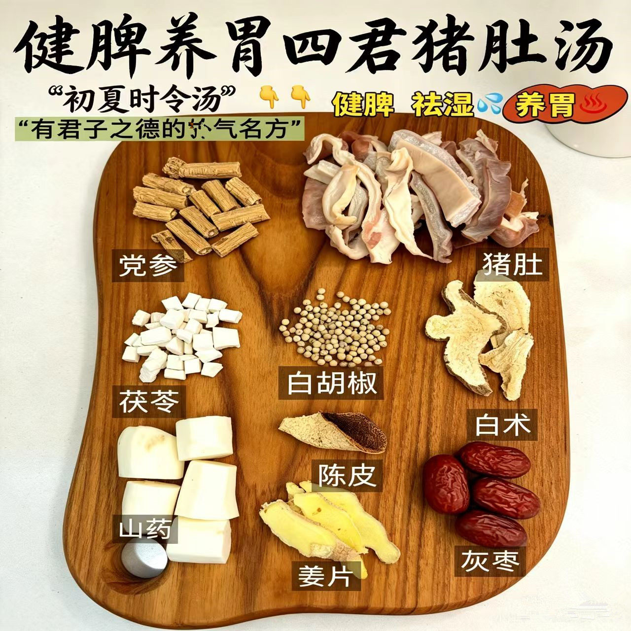 健脾养胃四君猪肚汤养胃气胡椒四君子猪肚汤包祛湿四君子汤滋补方