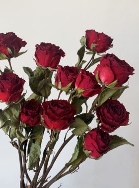 玫瑰花干花花束天然真花相框diy花材客厅家居装饰摆件节日送人