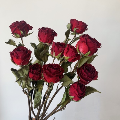 玫瑰花干花花束天然真花相框diy花材客厅家居装饰摆件节日送人